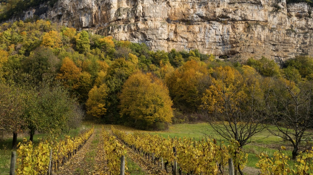 Paysage viticole du Gers